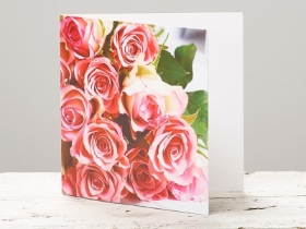 Pink Rose Blank Greetings Card